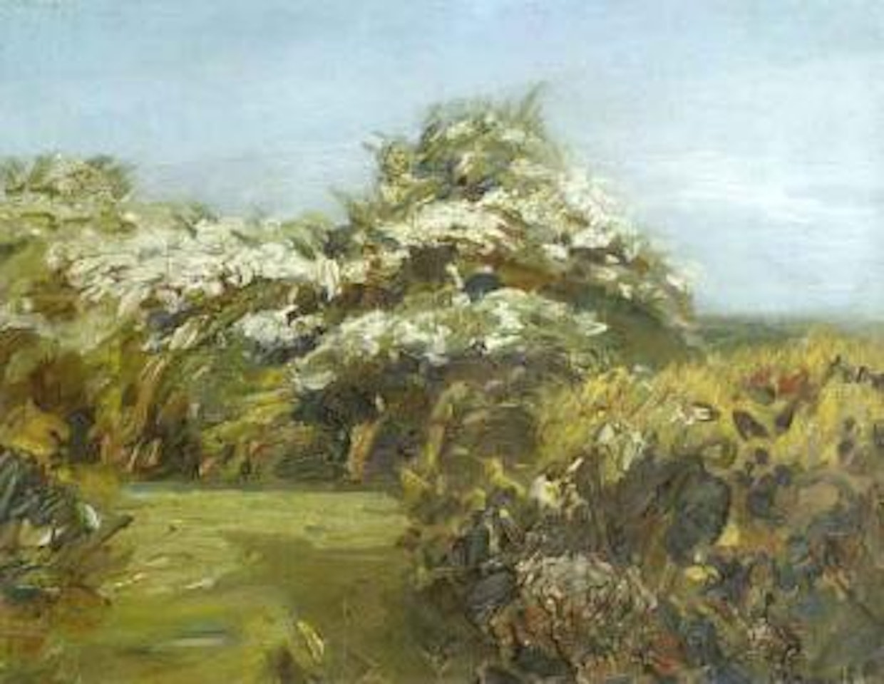 Spring blossom by Alfred James Munnings