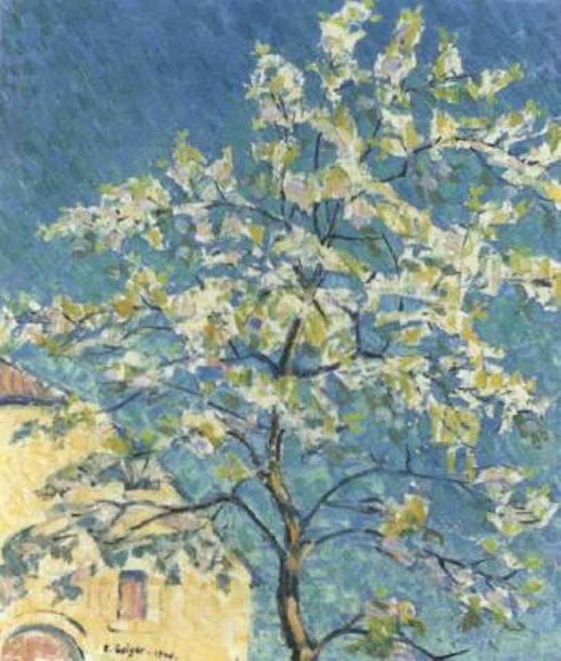 Cherry blossom by Ernst Geiger