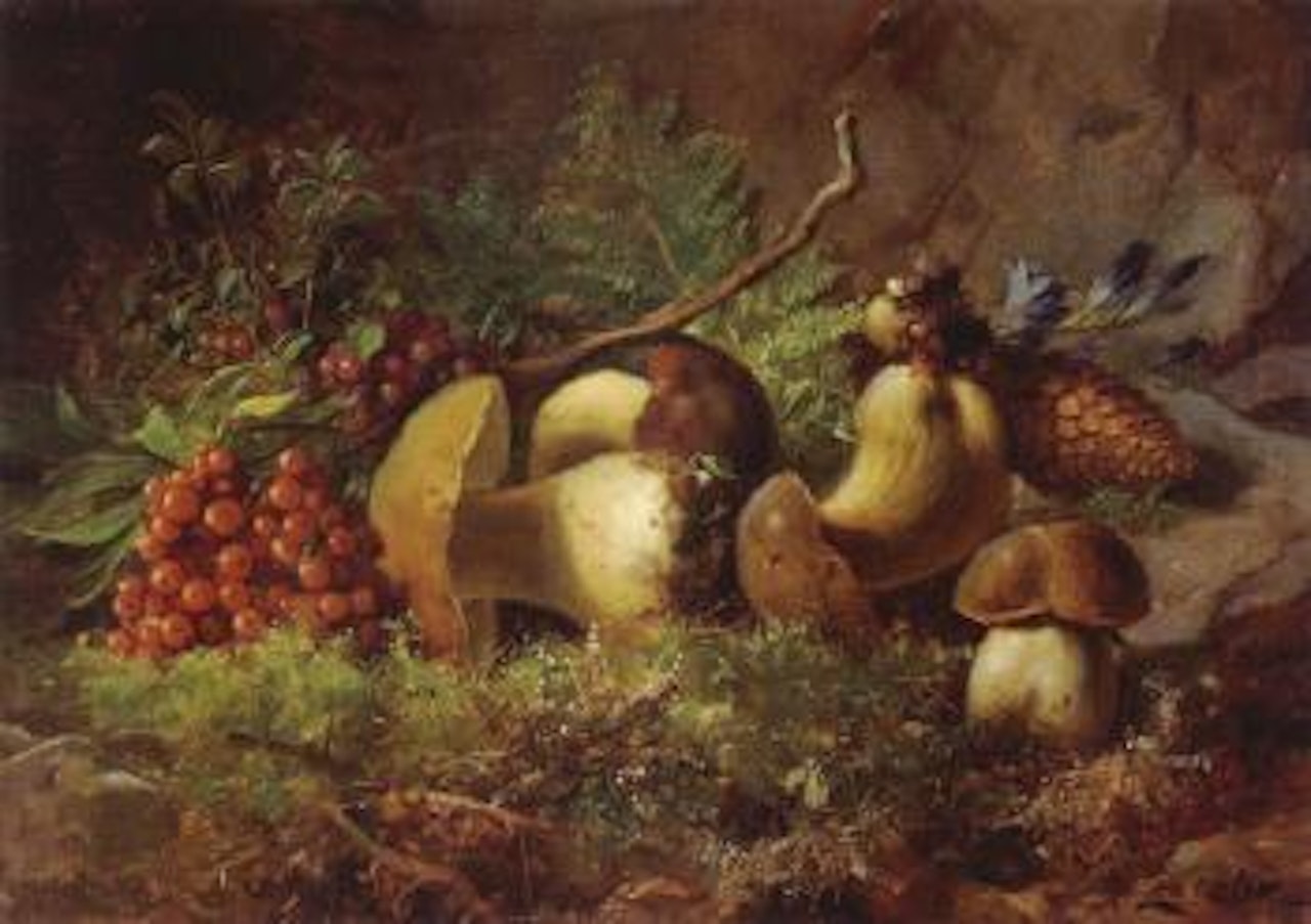 Mushrooms by Hans Zatzka