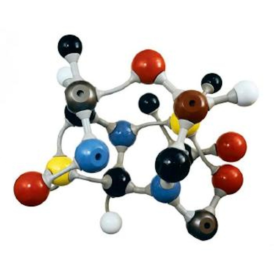 Moleclar structure by Damien Hirst