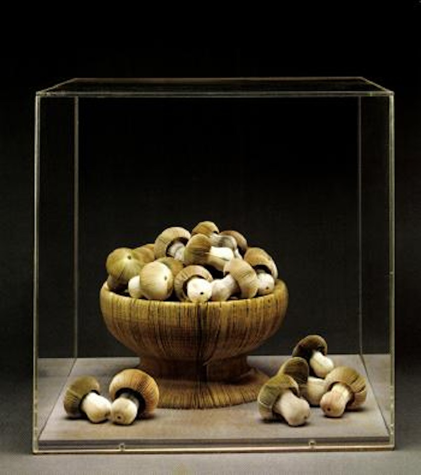 Mushrooms by Pavlos Dionyssopoulos