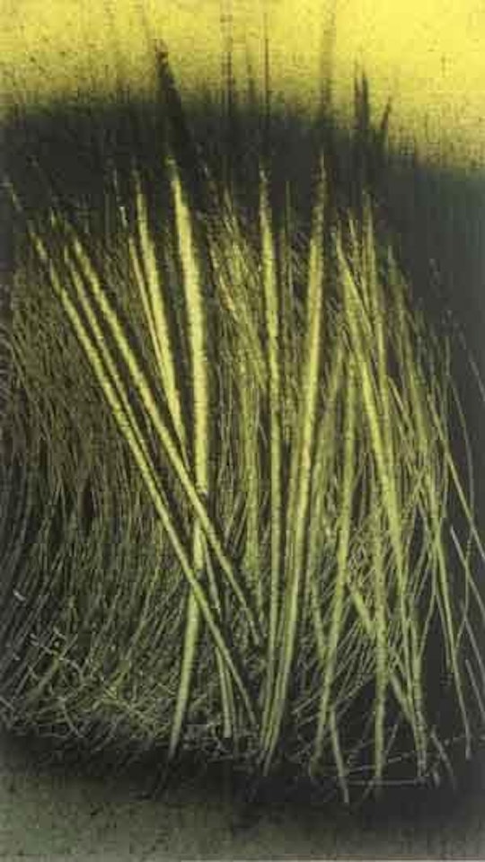 T1962 by Hans Hartung