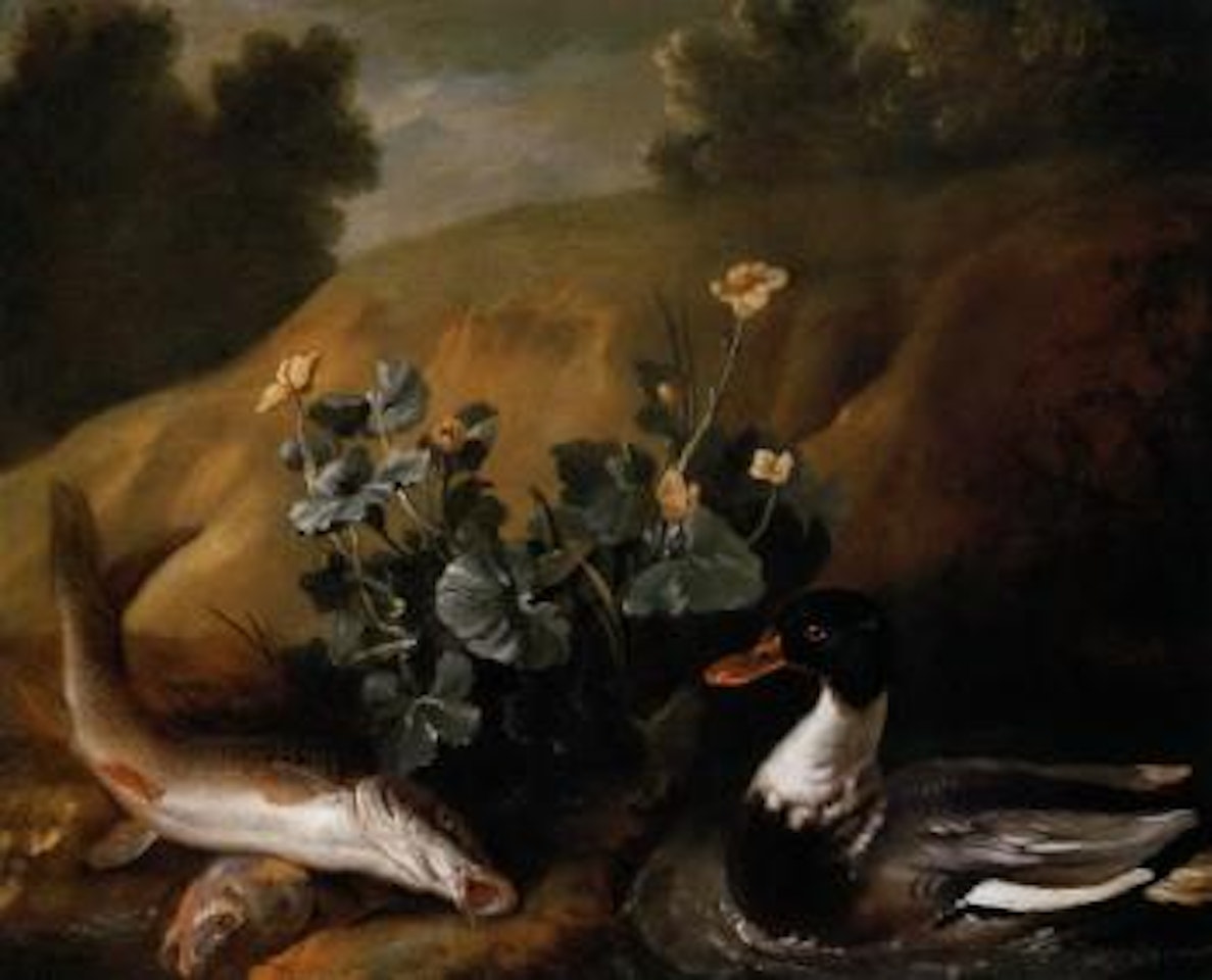 Duck with two barbels at the edge of a pond by Jean-Baptiste Oudry