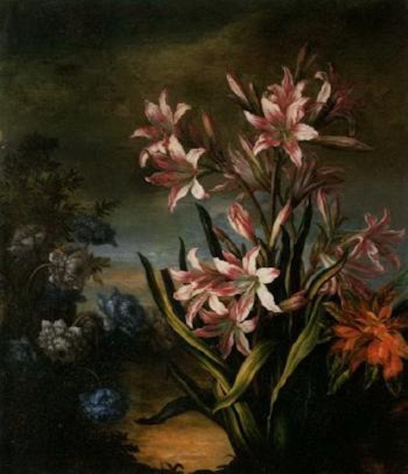 Flower bed with blue chrysanthemum and lilies by Jean Baptiste Monnoyer