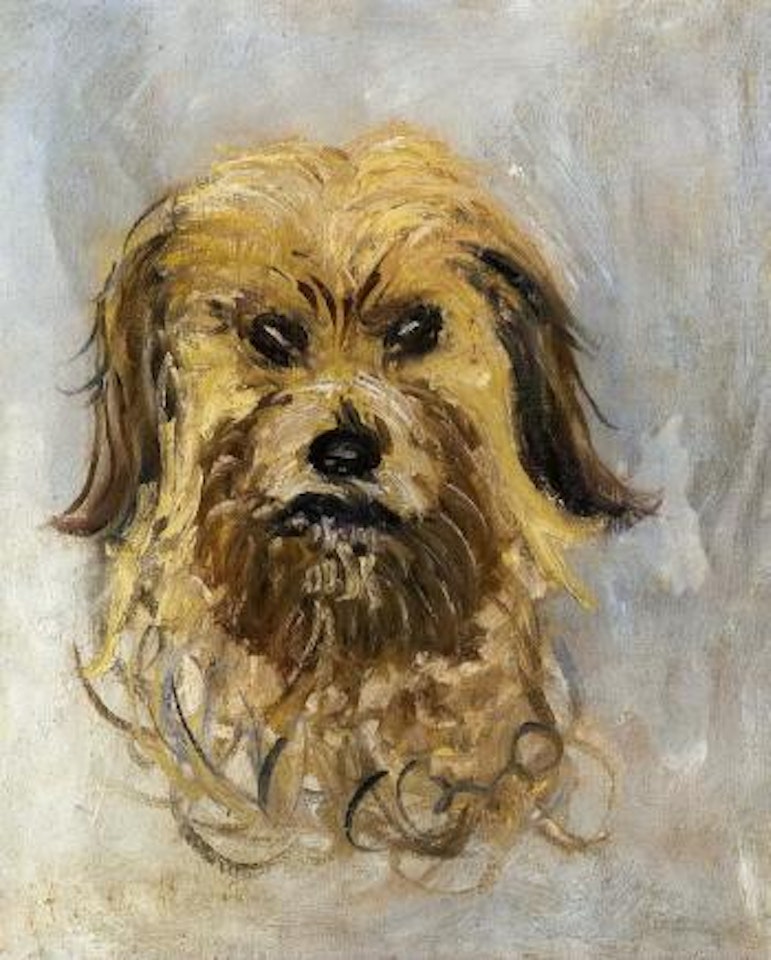 Tete de chien griffon, Follette by Claude Monet