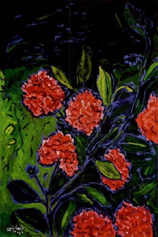 Red flowers by Arie Smit