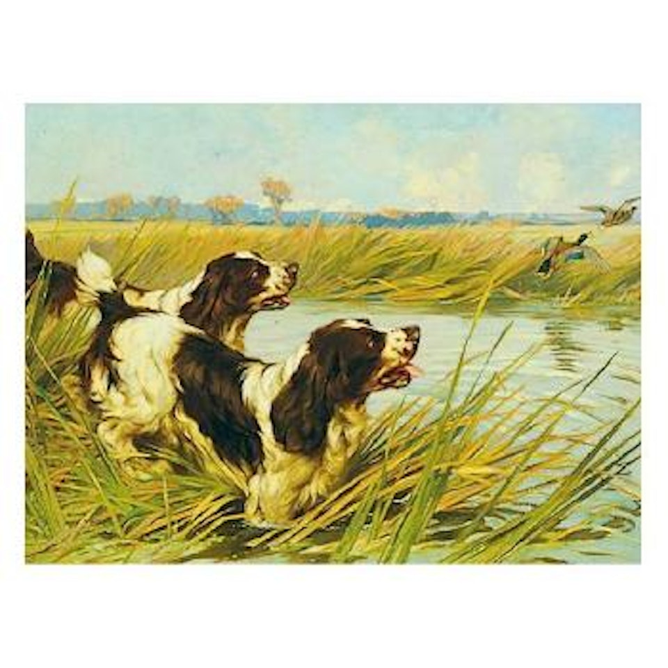 Spaniels by a stream by Arthur Wardle