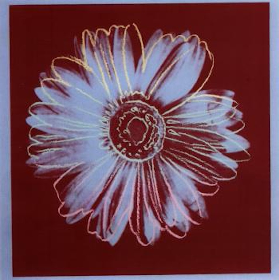 Daisy by Andy Warhol