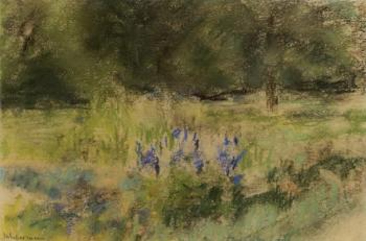Landschaft - landscape by Max Liebermann