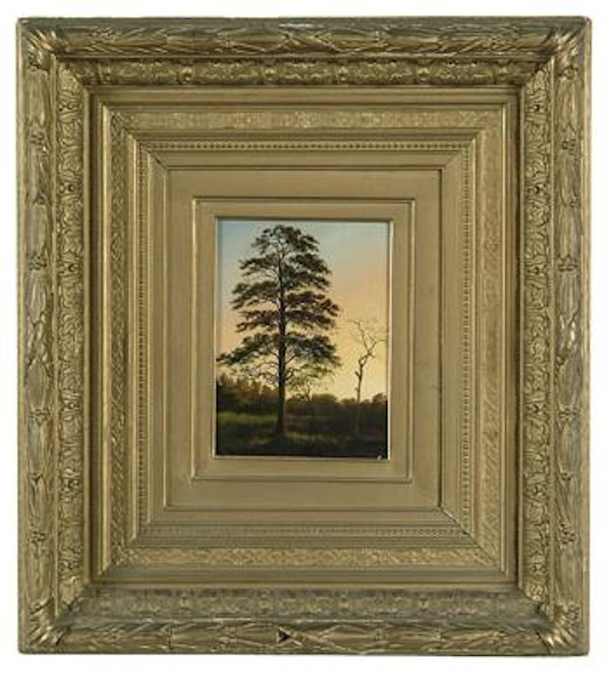Lone pine tree in wooded landscape at dawn by Alexandre Calame