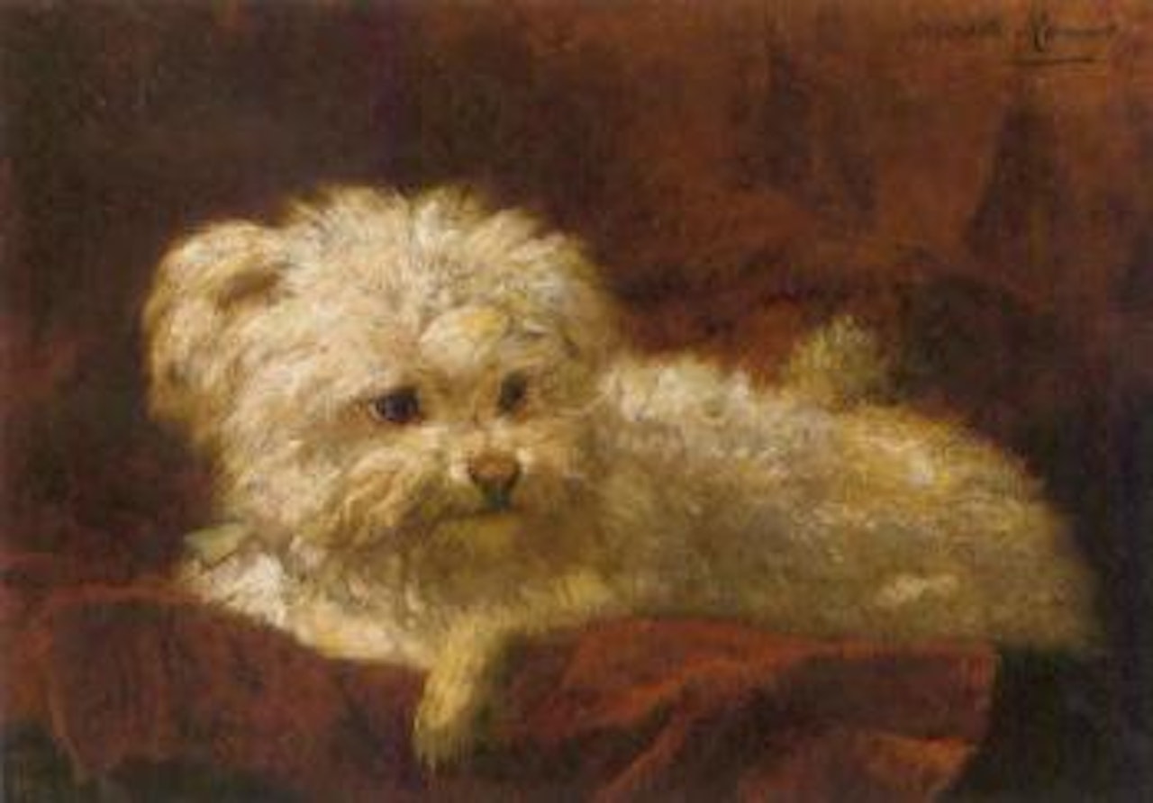 In the basket by Henriette Ronner-Knip