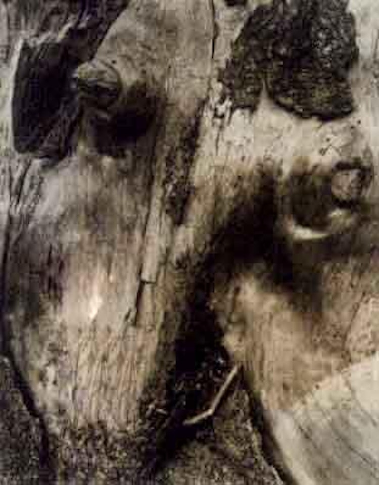 Untitled by Paul Strand