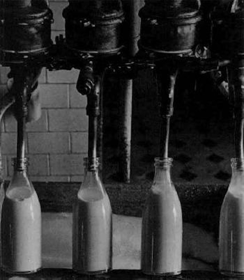 Milk union, bottling milk, 1929 by Alexander Rodchenko