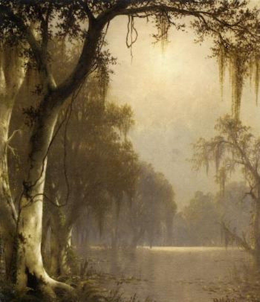Sunlight on the bayou by Joseph R. Meeker