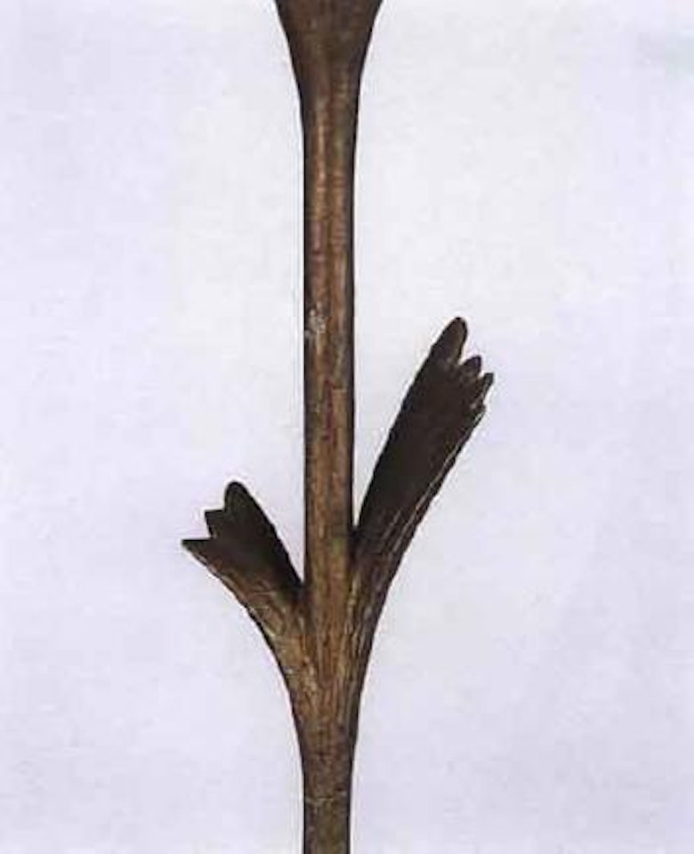 Lampadaire, modele a la feuille by Diego Giacometti