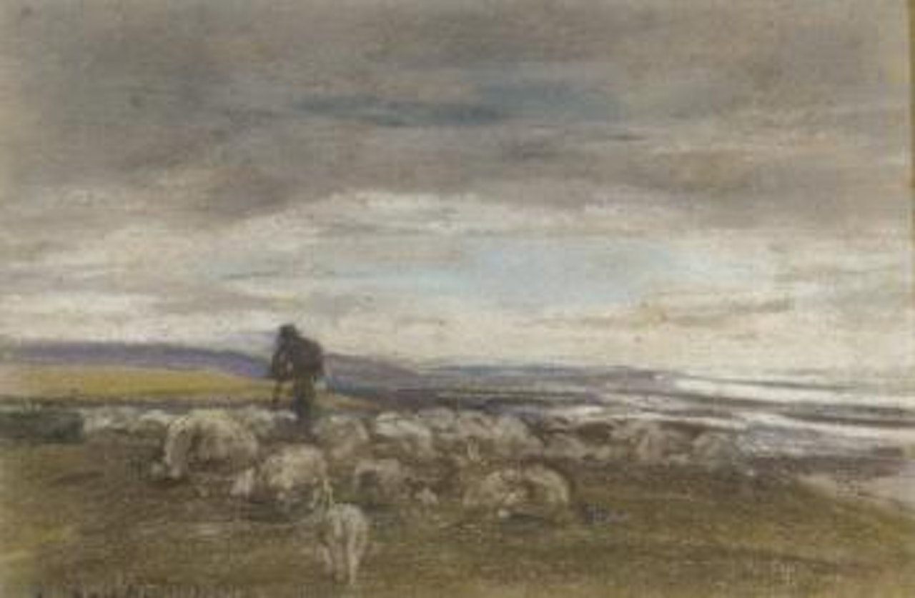 Paturage aux moutons, cote Normande by Eugène Boudin