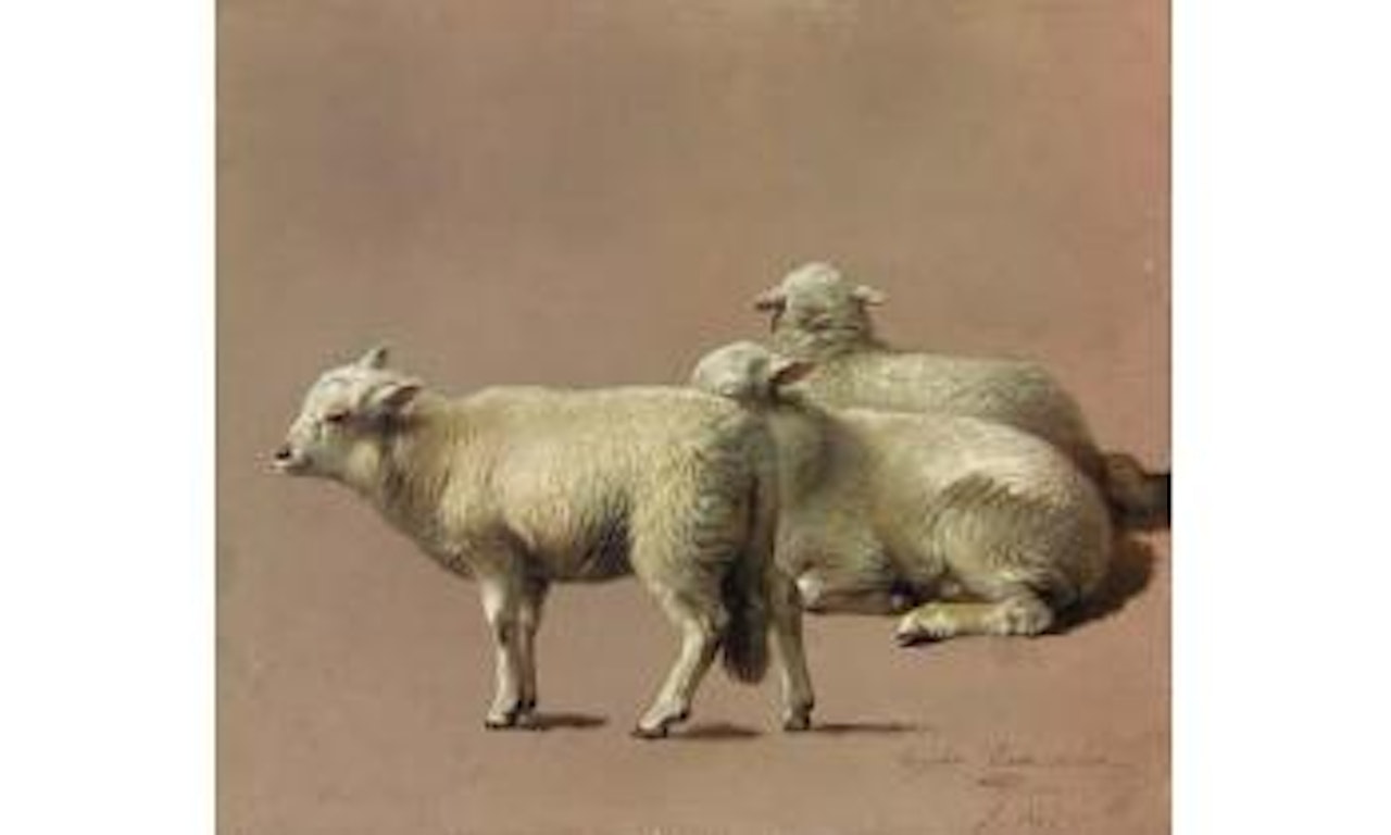 Etude de moutons by Eugène Joseph Verboeckhoven