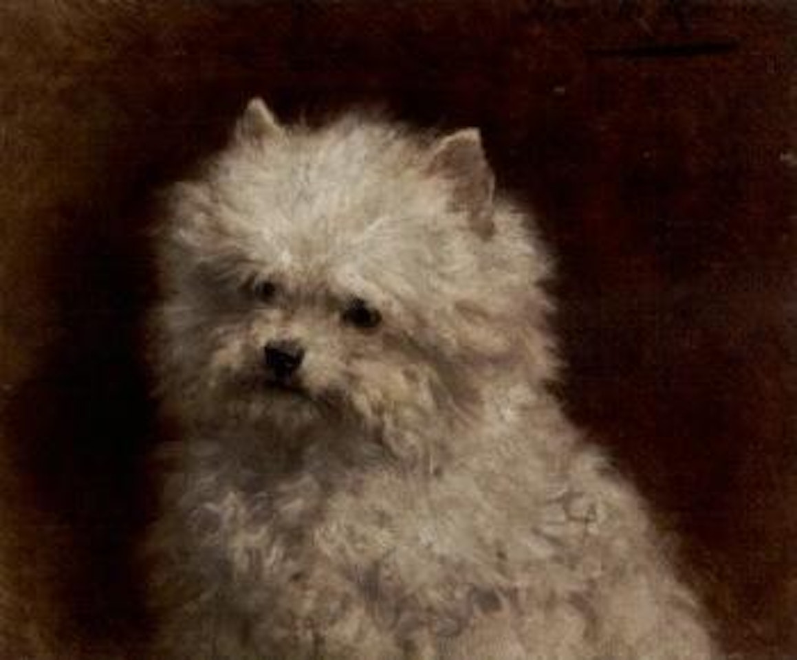 Furry friend by Henriette Ronner-Knip