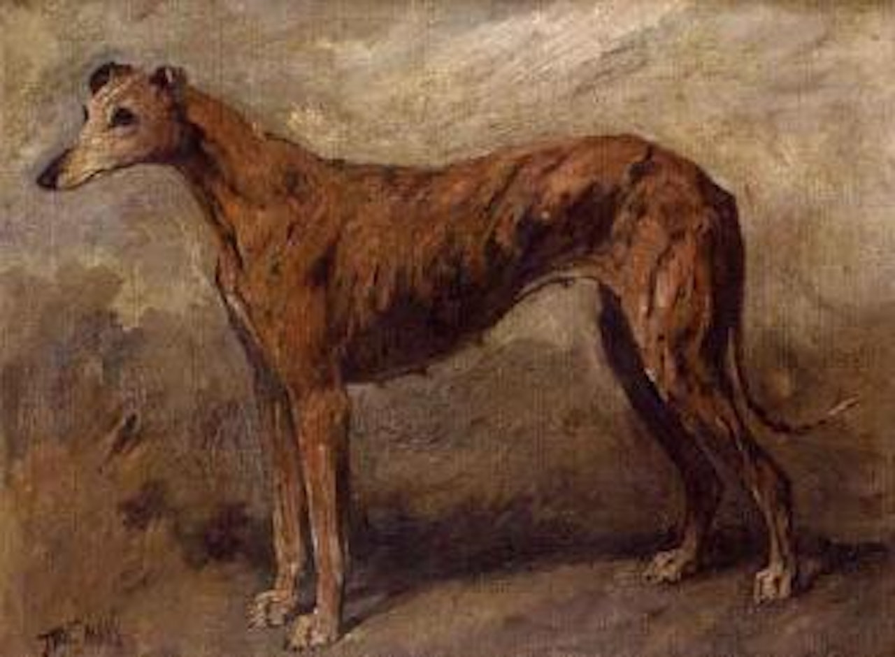 Brindle greyhound in a landscape by John Emms
