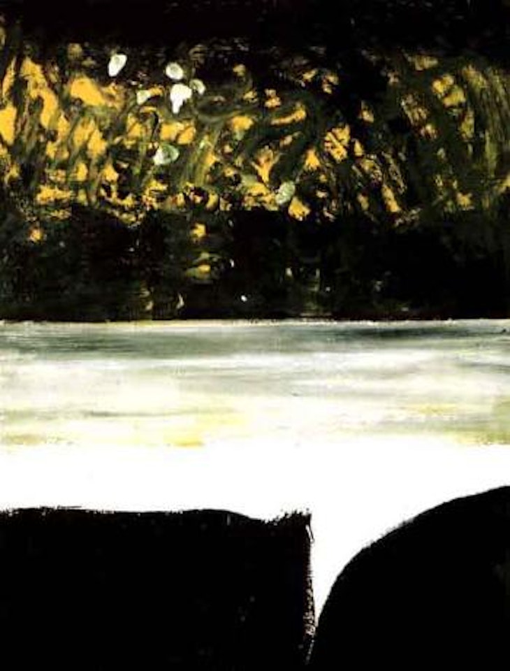 Waterfall by Colin Mccahon