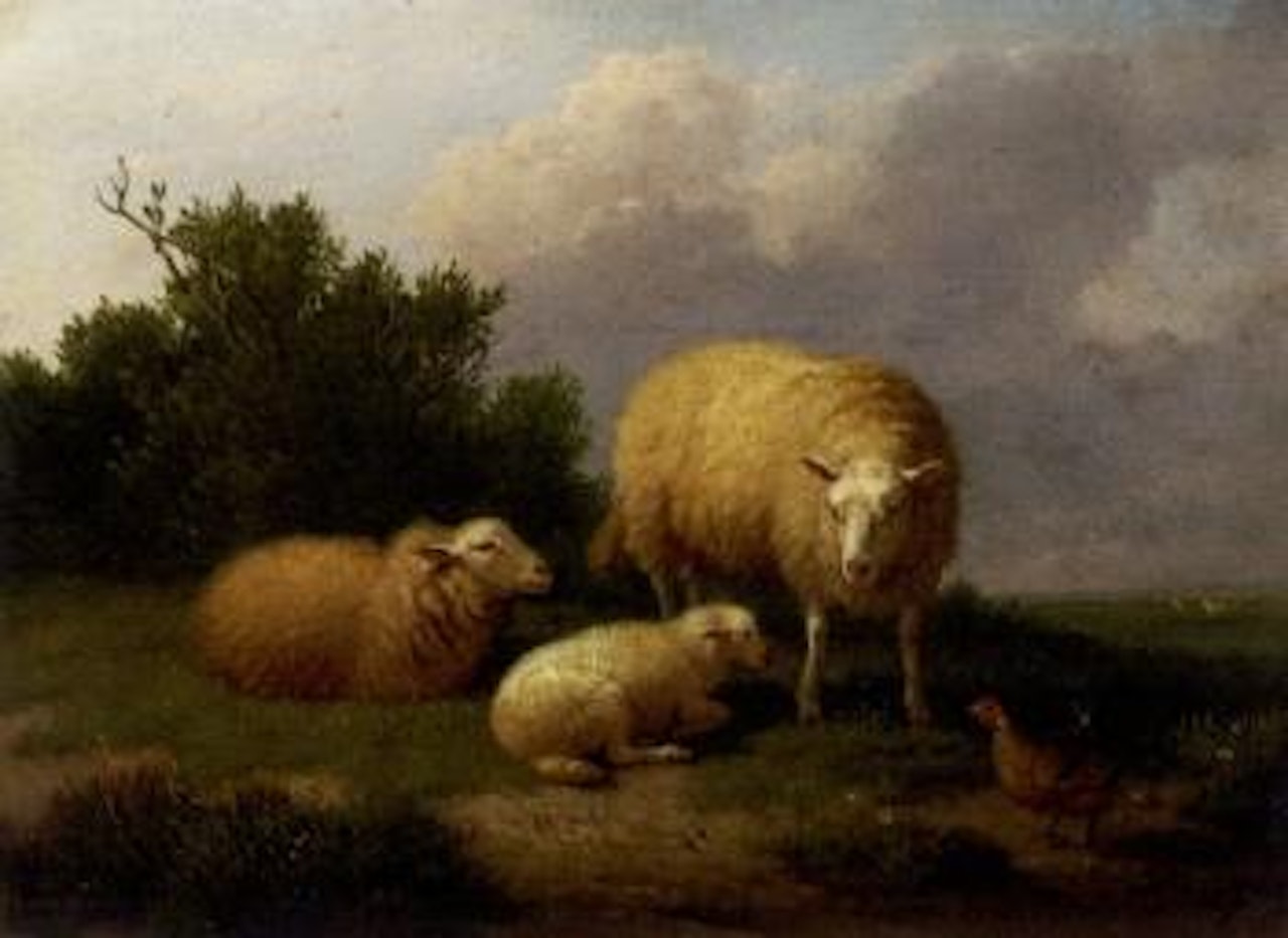 Sheep in a meadow by Eugène Joseph Verboeckhoven
