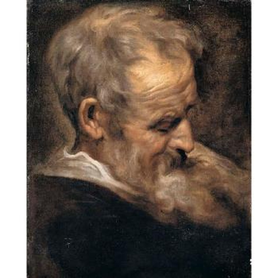 Study of a head of a bearded man by Anthony van Dyck