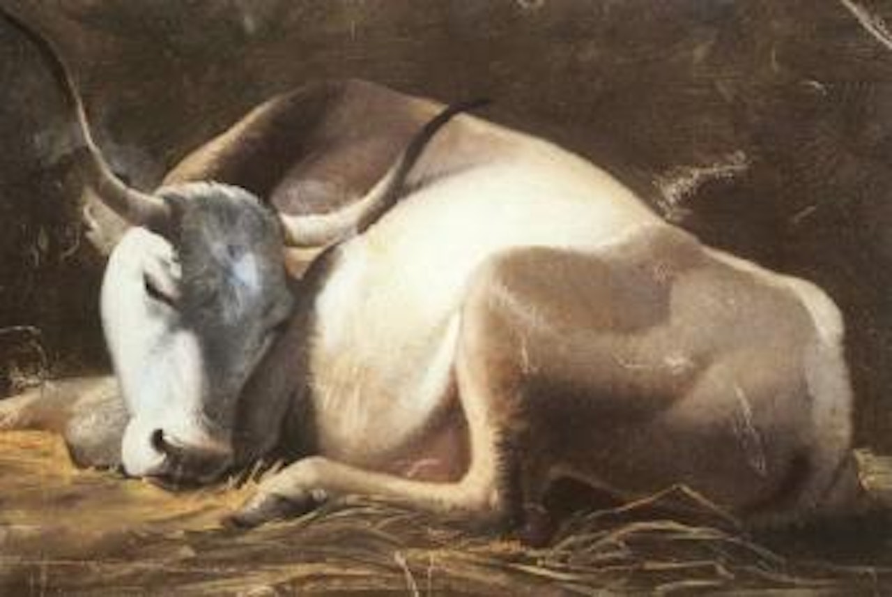 Bovin dans un etable by Simon Denis