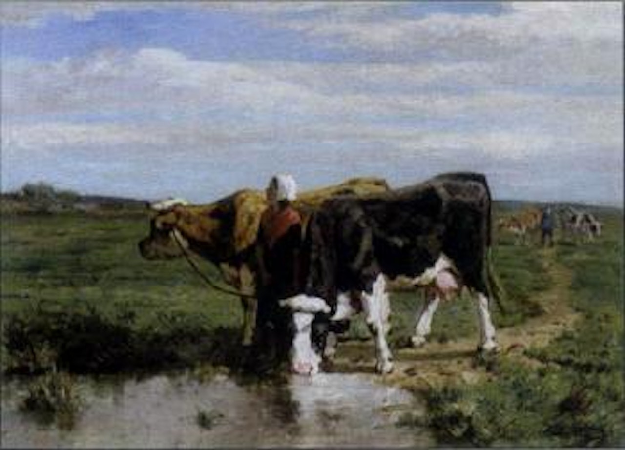 Cows watering by Frans de Beul