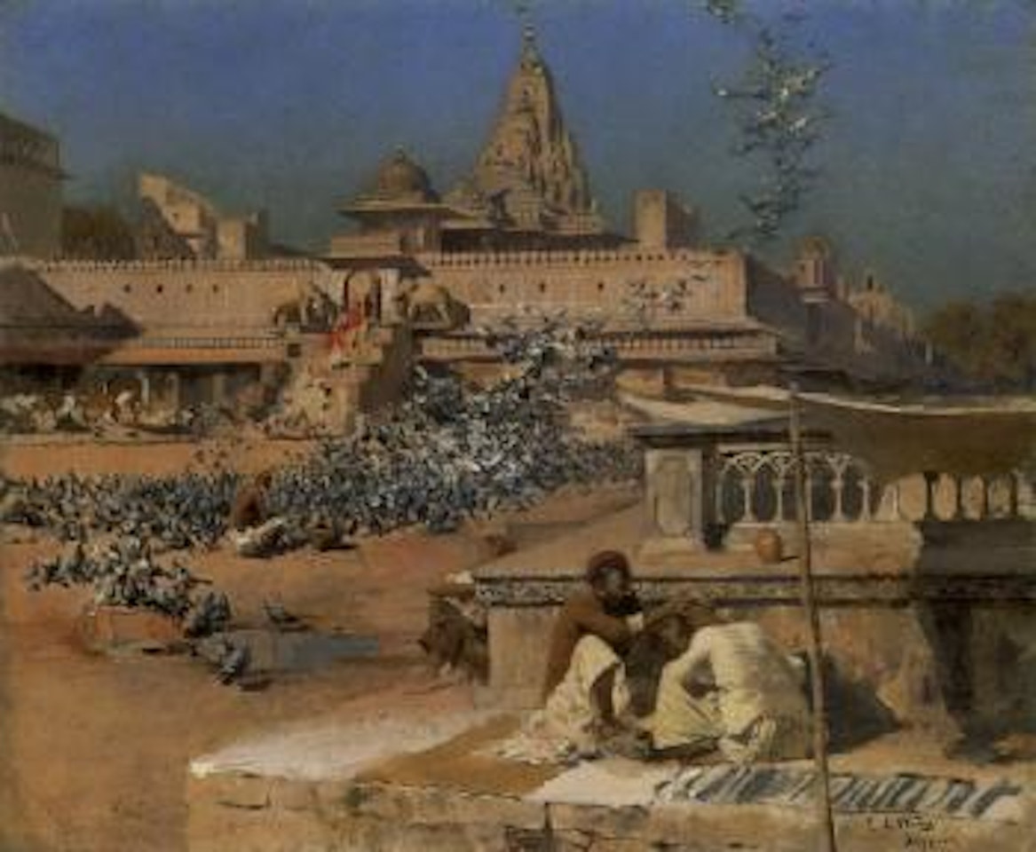 Feeding the sacred pigeons, Jaipur by Edwin Lord Weeks