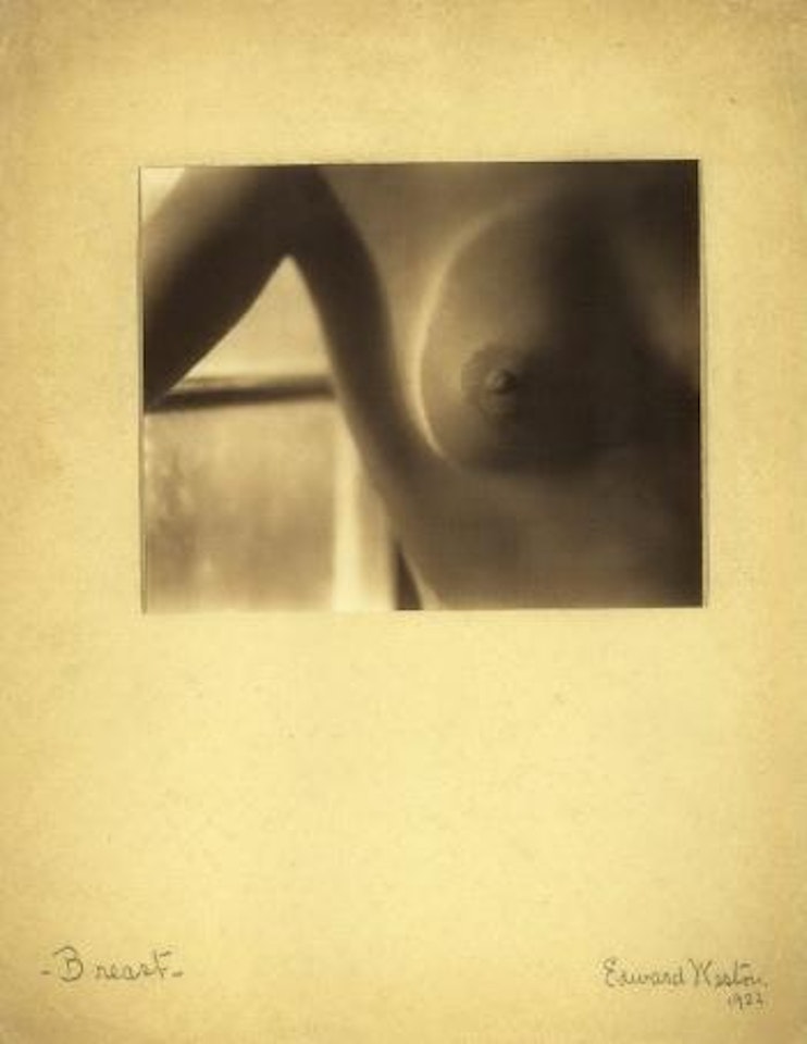 Breast by Edward Weston