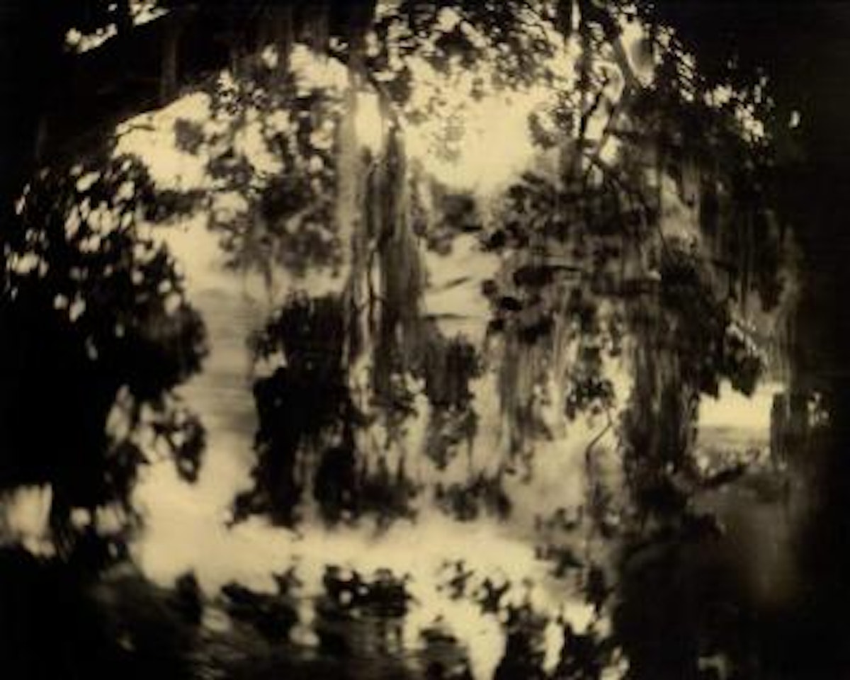 Deep South no 32 by Sally Mann