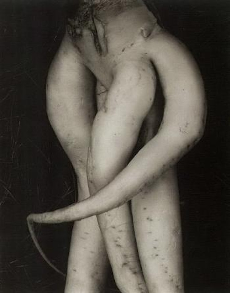 White radish by Edward Weston