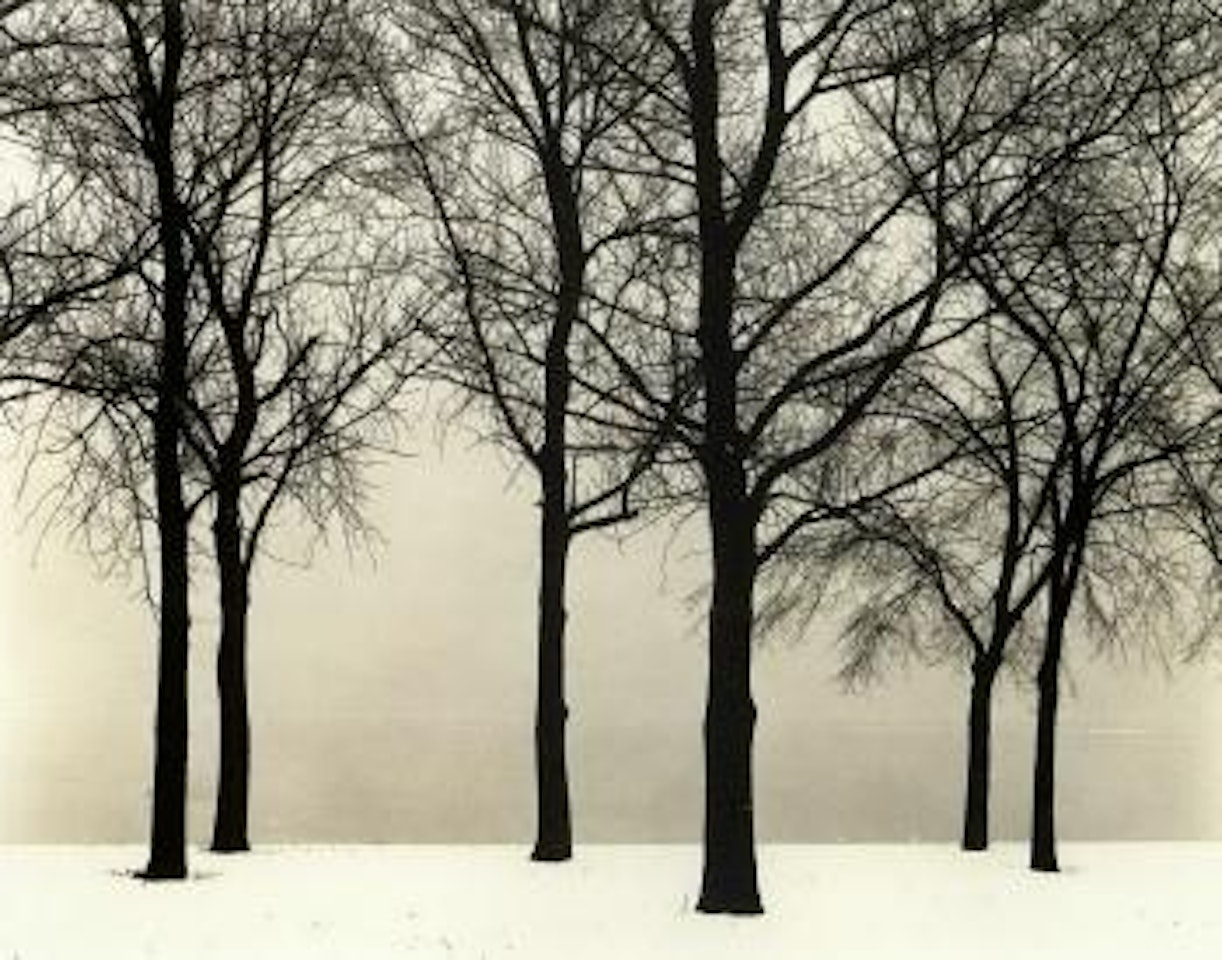 Chicago by Harry Callahan
