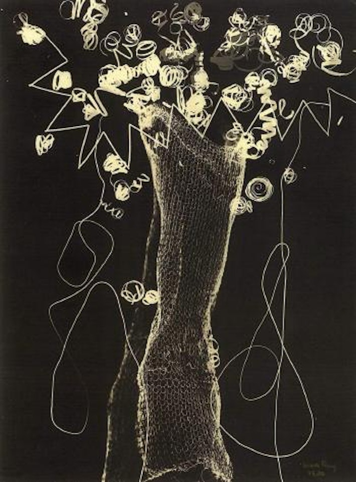 Untitled, rayograph with shapes of a vase and flowrs by Man Ray