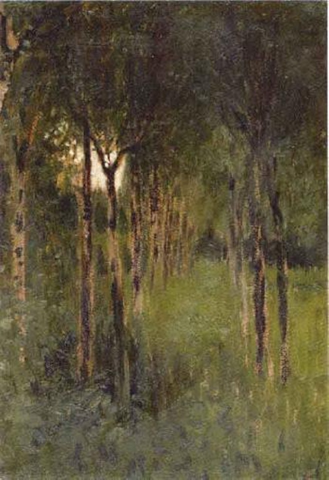 Beech wood by Hans am Ende