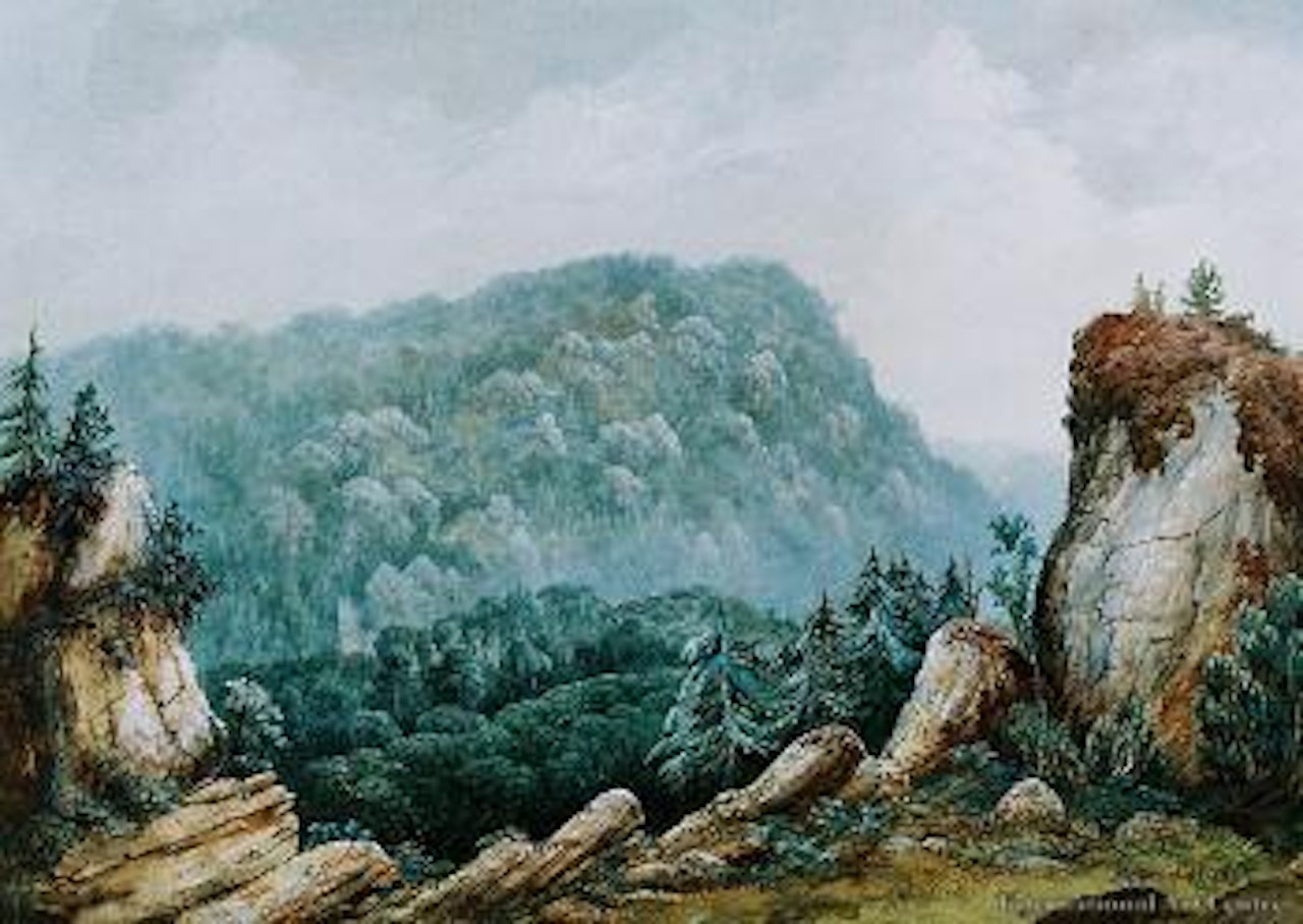 Forest landscape by Nicholas Chevalier