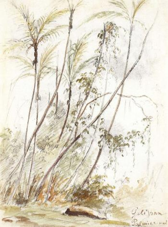 Group of palm trees. Extensive mountainous landscape by Camille Pissarro