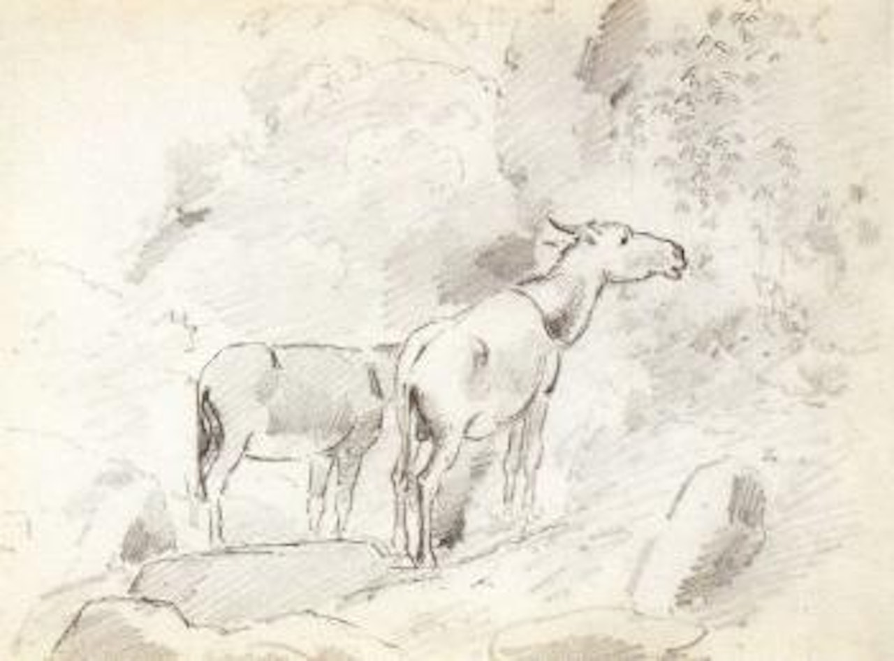 Two donkey grazing in the mountains. Studies of woman by Camille Pissarro