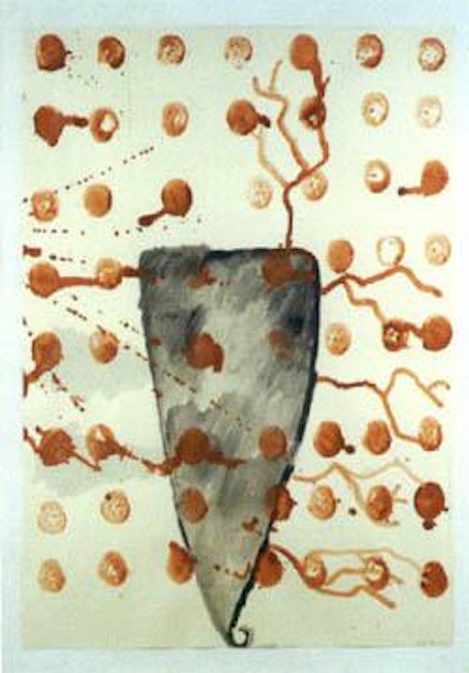 Coral head by James Brown