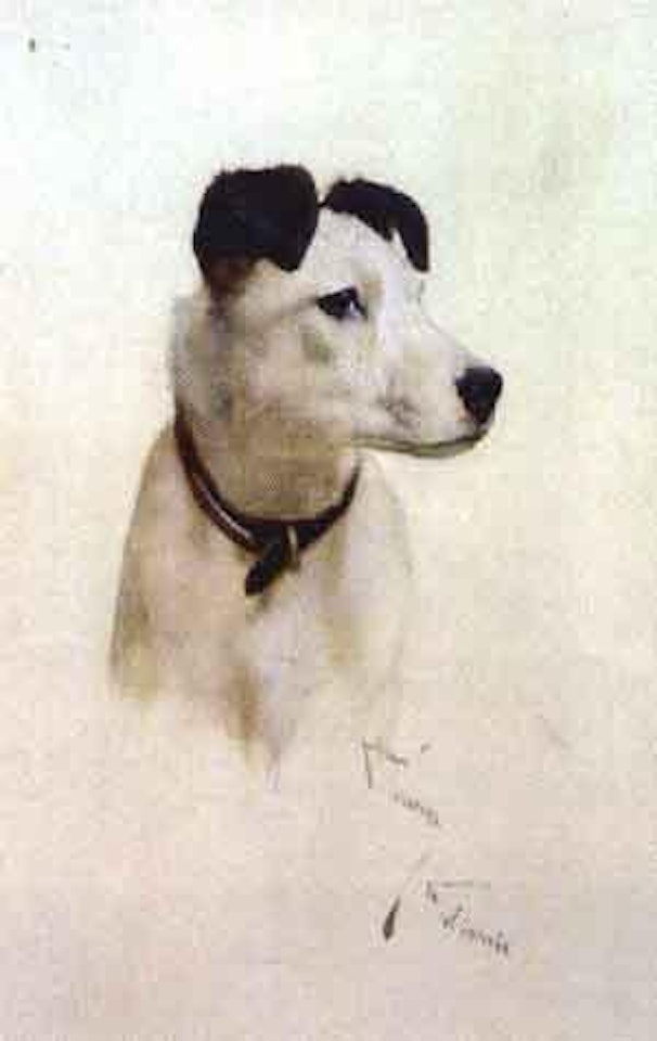 Portrait of a Jack Russell by Arthur Wardle