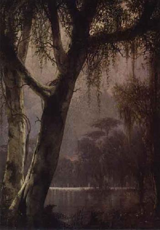 Bayou near a lake by Joseph R. Meeker