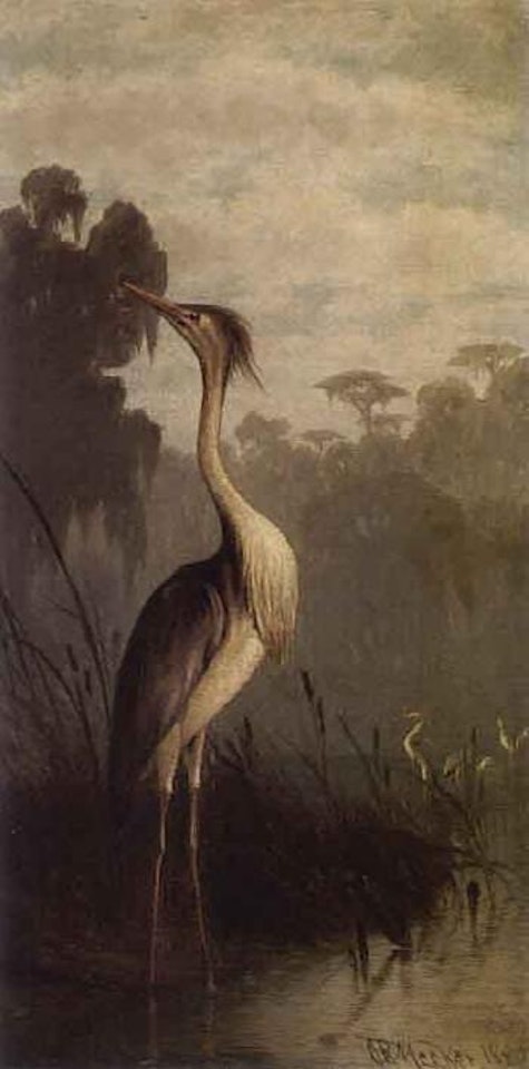 Herons and cattails by Joseph R. Meeker