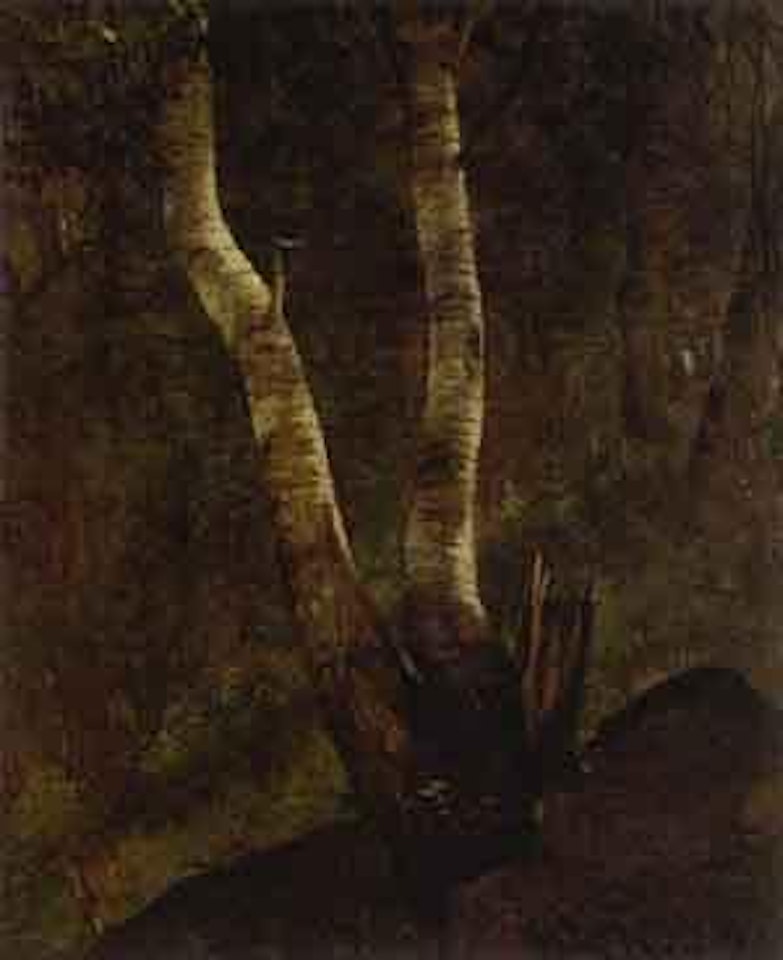 Birches on Lake Pepin by Joseph R. Meeker