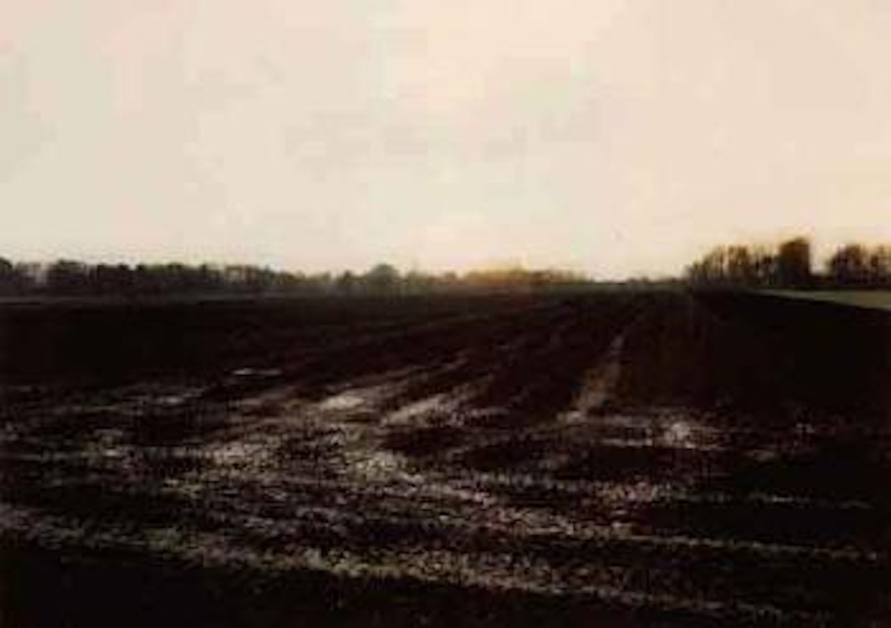 Acker krefeld by Andreas Gursky