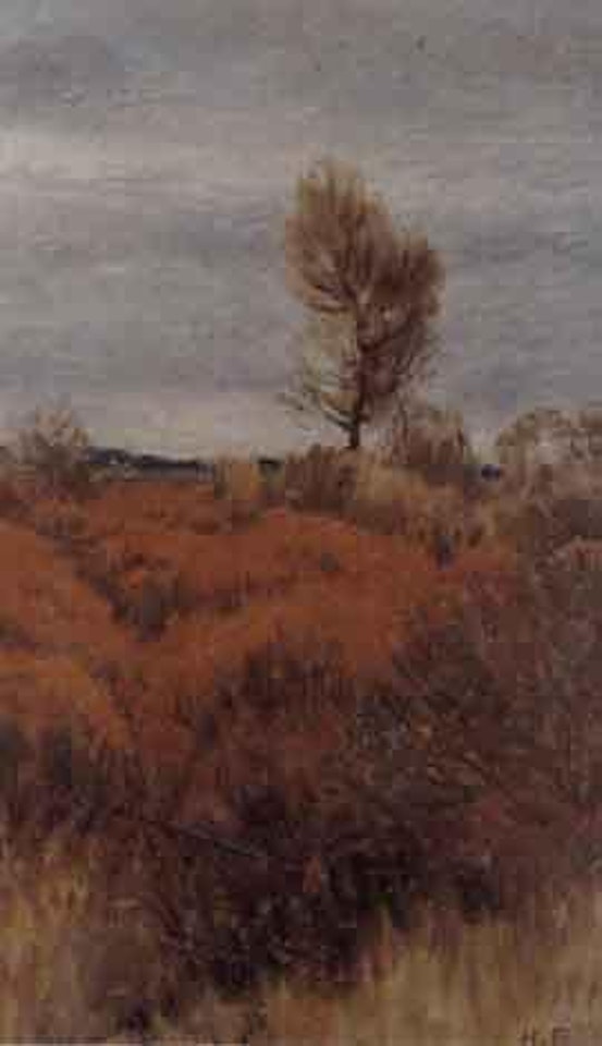 Autumn moorland with gathering storm by Hans am Ende