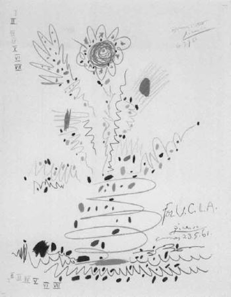 Fleurs - for UCLA by Pablo Picasso