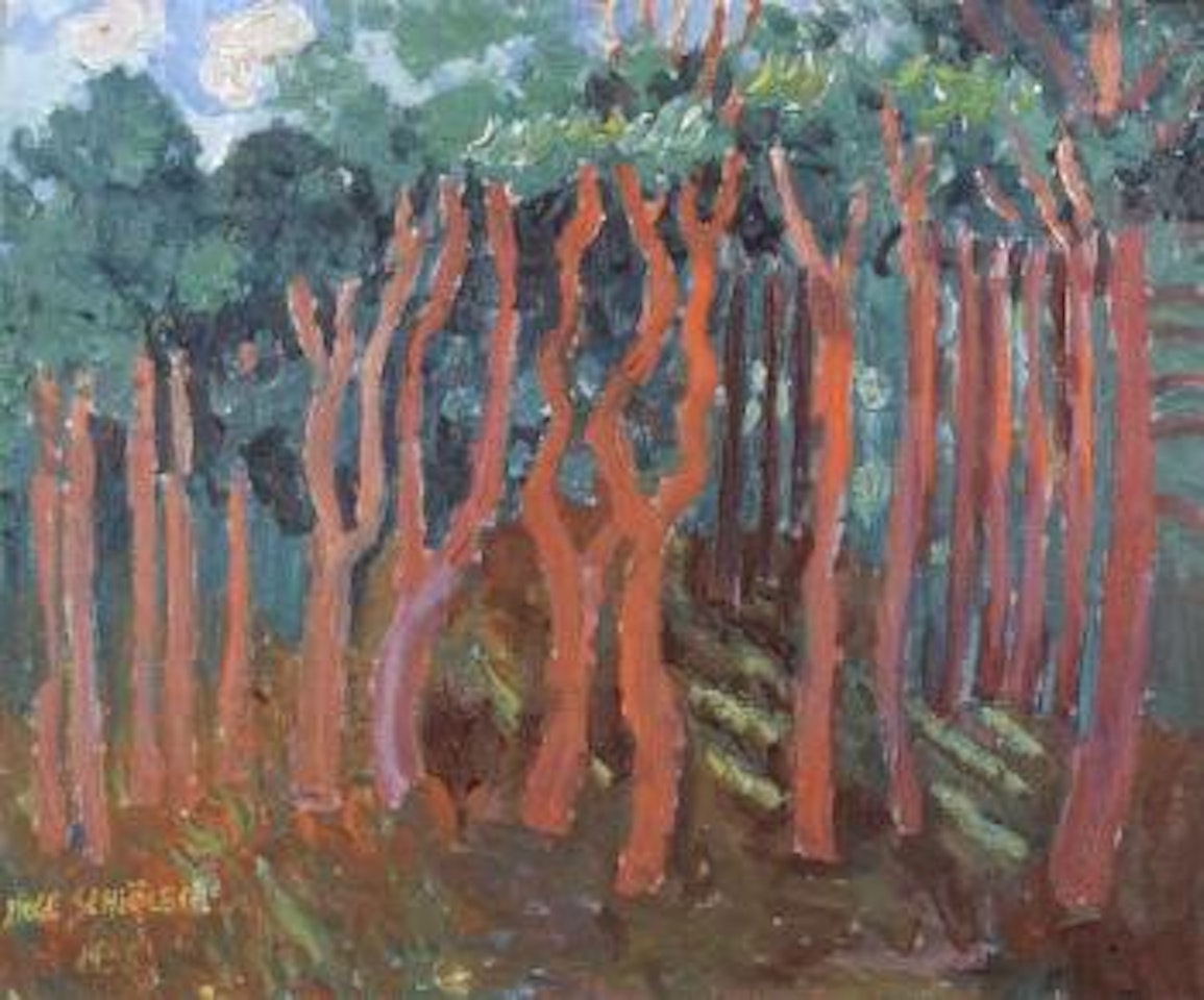 Tree trunks in pine forest by Inge Schiöler