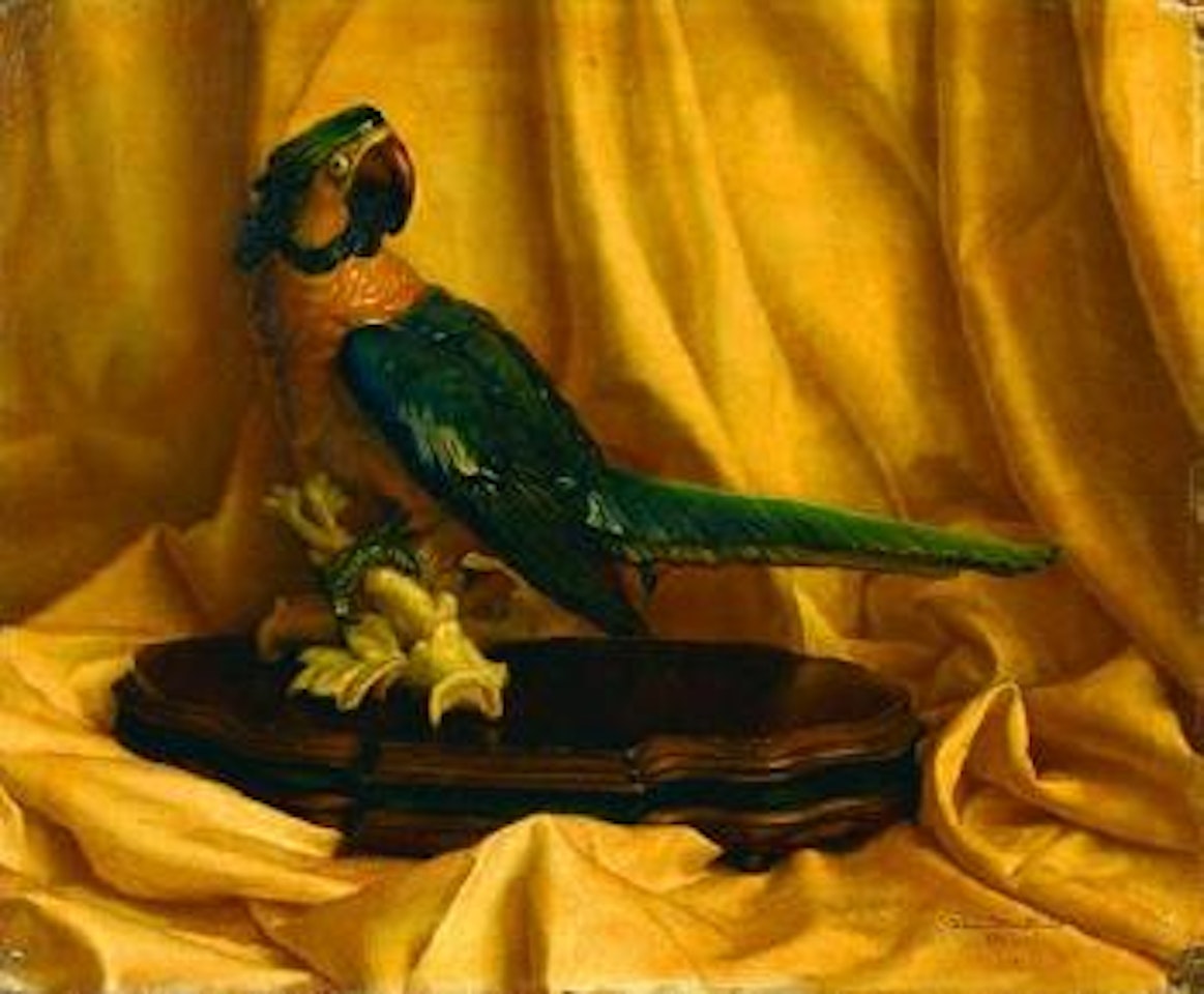 Perroquet bleu by Irene Klestova