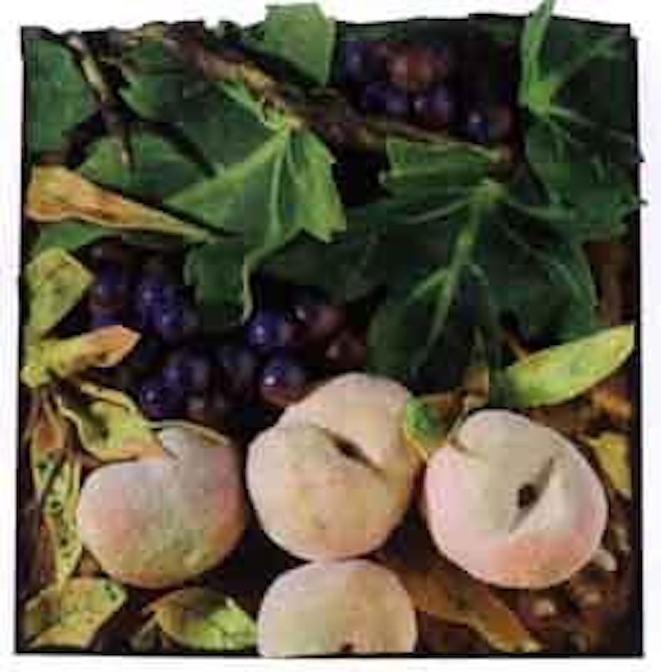 Peaches and grapes by Piero Gilardi