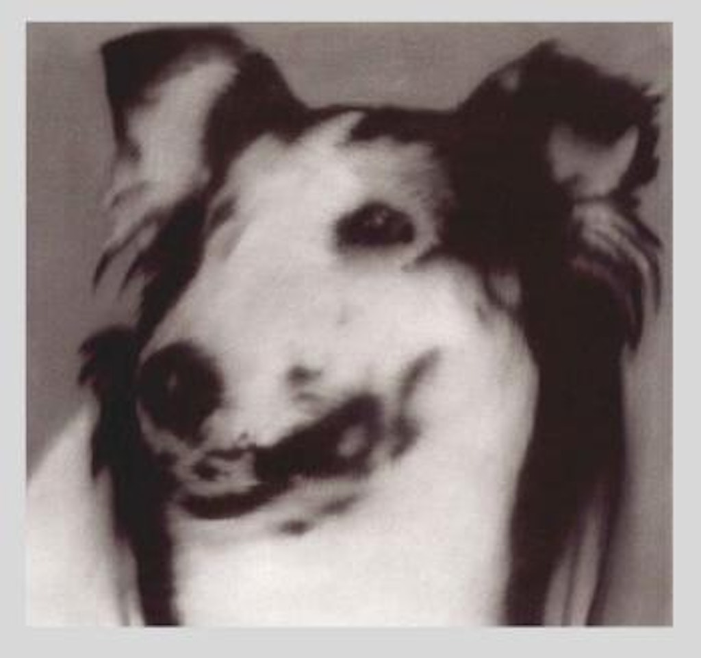 Lassie by Gerhard Richter